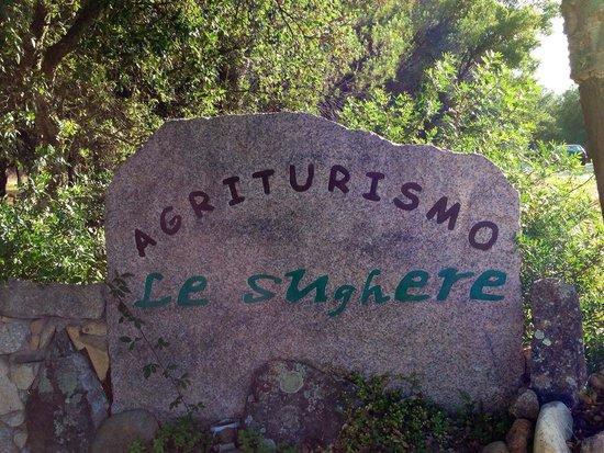 Le Sughere Padru Zewnętrze zdjęcie